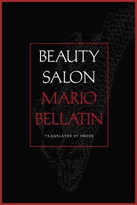 bokomslag Beauty Salon