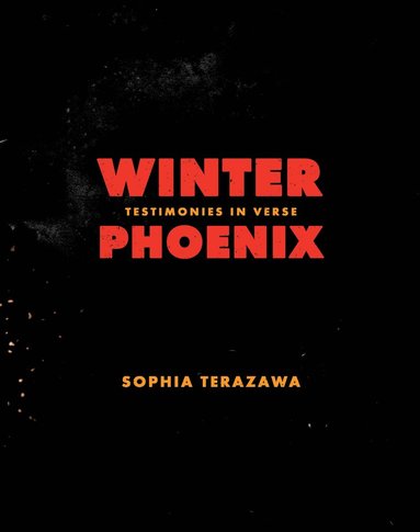 bokomslag Winter Phoenix