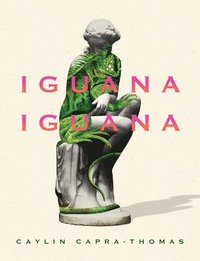 bokomslag Iguana Iguana