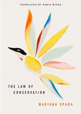 bokomslag Law of Conservation