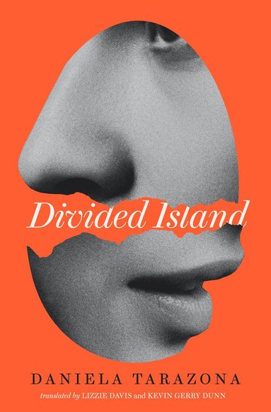 bokomslag Divided Island