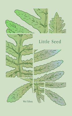 Little Seed 1