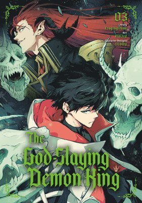 bokomslag God-Slaying Demon King 03