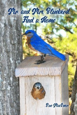 Mr. and Mrs. Bluebird Find a Home 1