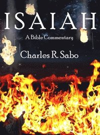 bokomslag Isaiah: A Bible Commentary