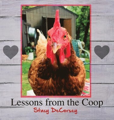 bokomslag Lessons from the Coop