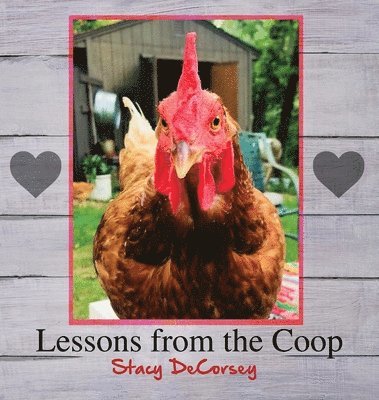 Lessons from the Coop 1
