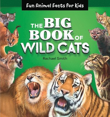 Rachael Smith - The Big Book of Wild Cats: Fun Animal Facts for Kids, Häftad