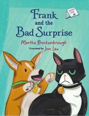 Frank and the Bad Surprise 1