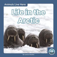 bokomslag Life in the Arctic
