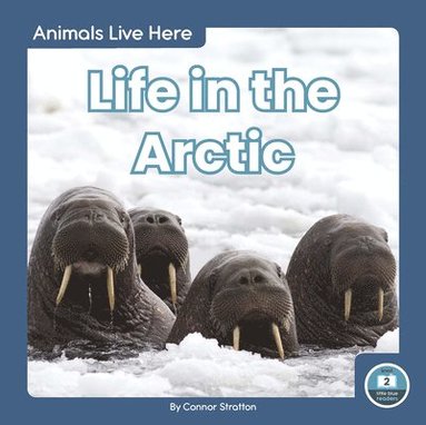bokomslag Life in the Arctic