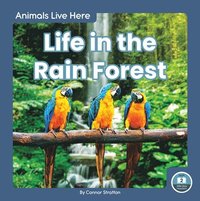 bokomslag Life in the Rain Forest