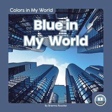 bokomslag Blue in My World