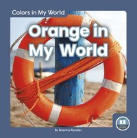 bokomslag Colors in My World: Orange in My World