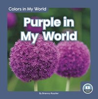 bokomslag Colors in My World: Purple in My World
