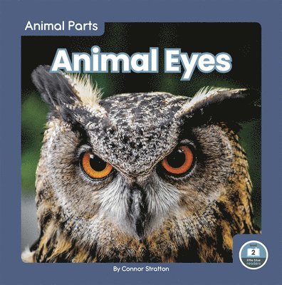 Animal Eyes 1