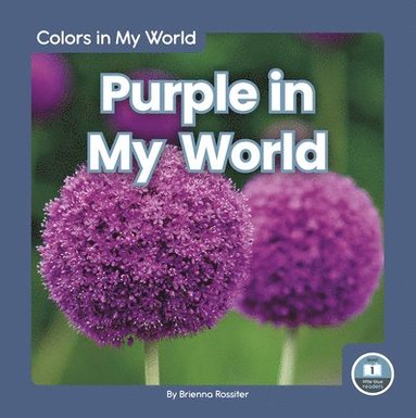 bokomslag Colors in My World: Purple in My World