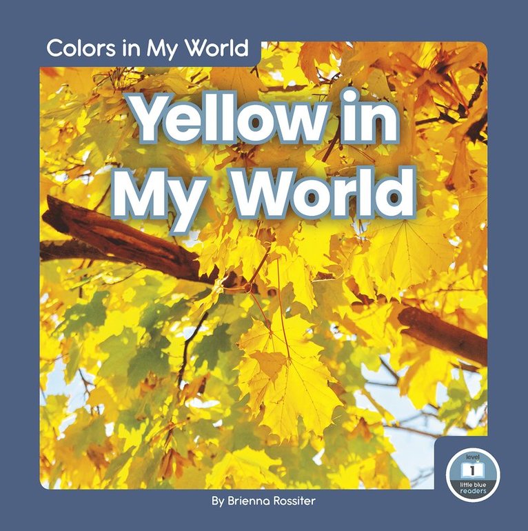 Brienna Rossiter - Yellow in My World, Häftad