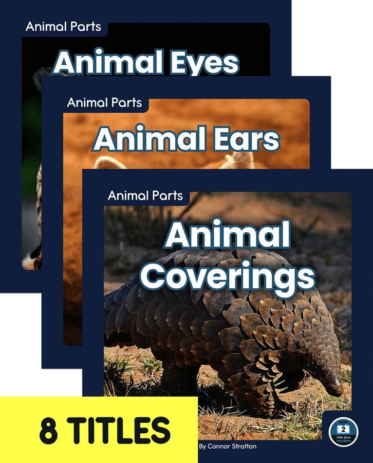 Animal Parts (Set of 8)