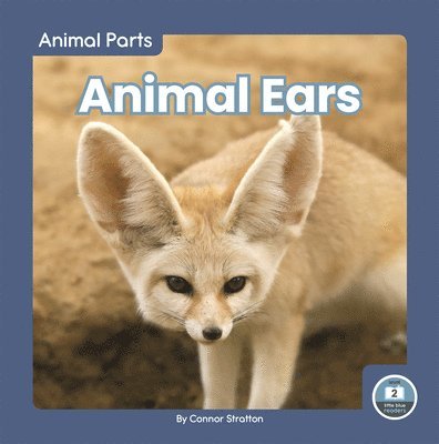 Animal Ears 1