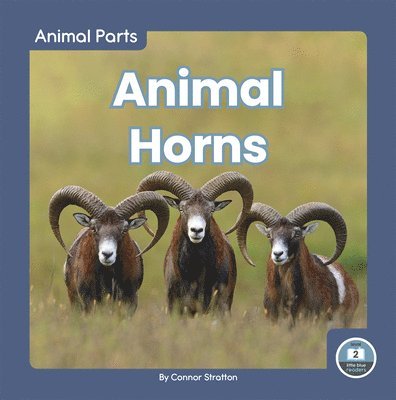 Animal Horns 1
