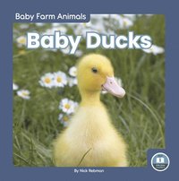bokomslag Baby Ducks