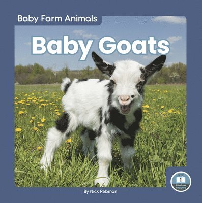 Baby Goats 1