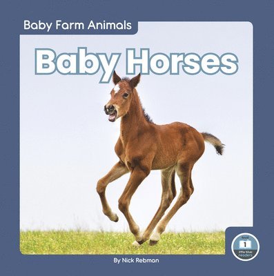 Baby Horses 1