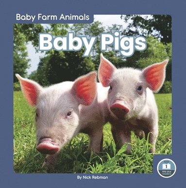 bokomslag Baby Pigs