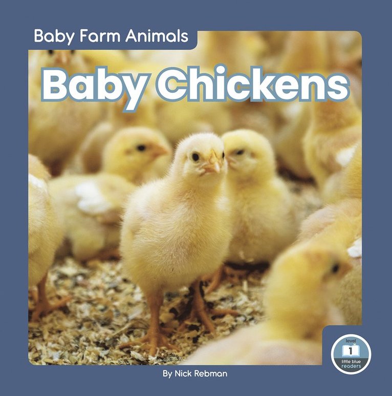 Baby Chickens 1