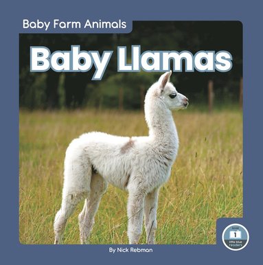 bokomslag Baby Llamas