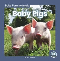 bokomslag Baby Pigs