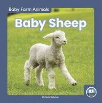 bokomslag Baby Sheep