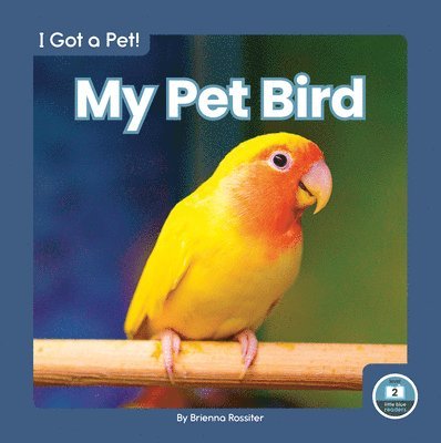 My Pet Bird 1