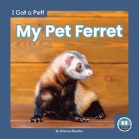bokomslag My Pet Ferret