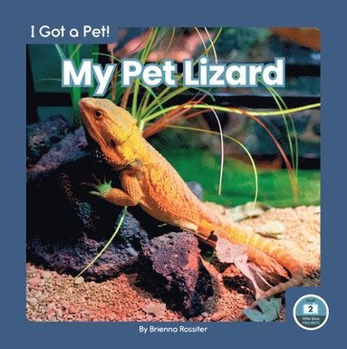 bokomslag My Pet Lizard