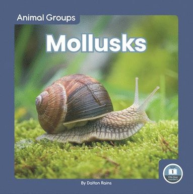 bokomslag Mollusks