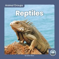 bokomslag Reptiles