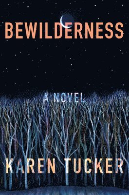 bokomslag Bewilderness