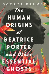 bokomslag The Human Origins of Beatrice Porter and Other Essential Ghosts