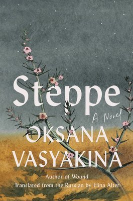 bokomslag Steppe