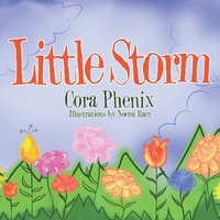 bokomslag Little Storm