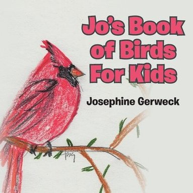 bokomslag Jo's Book of Birds For Kids