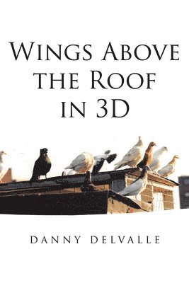 Wings Above the Roof in 3D 1