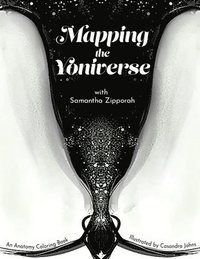 bokomslag Mapping the Yoniverse