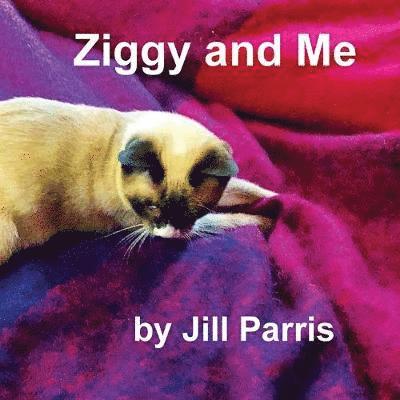 Ziggy and Me 1