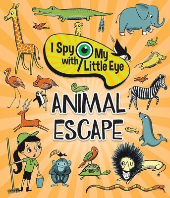 Animal Escape (I Spy with My Little Eye) 1
