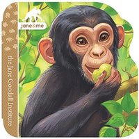 bokomslag Chimpanzee