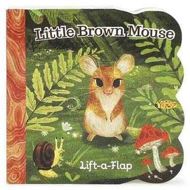 Ginger Swift, Cottage Door Press - Little Brown Mouse, Kartonnage