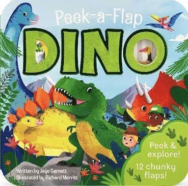 bokomslag Dinosaur Peek a Flap Children's Board Book